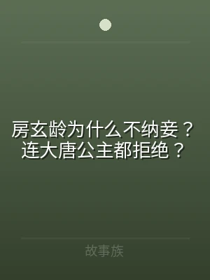 房玄龄为什么不纳妾？连大唐公主都拒绝？