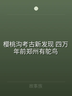 樱桃沟考古新发现 四万年前郑州有鸵鸟