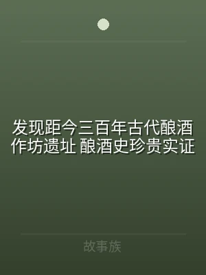 发现距今三百年古代酿酒作坊遗址 酿酒史珍