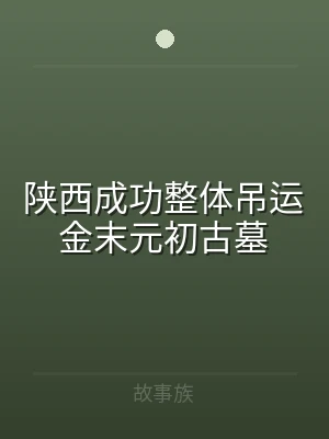 陕西成功整体吊运金末元初古墓