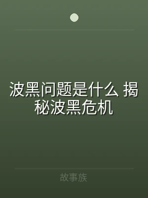 波黑问题是什么 揭秘波黑危机