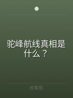 驼峰航线真相是什么？