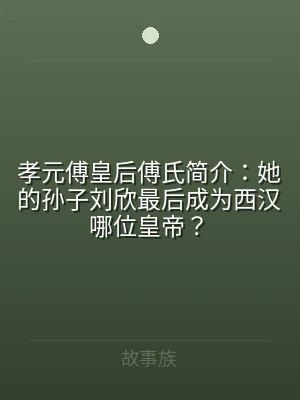 孝元傅皇后傅氏简介：她的孙子刘欣最后成为