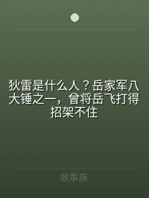 狄雷是什么人？岳家军八大锤之一，曾将岳飞