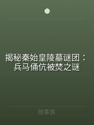 揭秘秦始皇陵墓谜团：兵马俑伉被焚之谜
