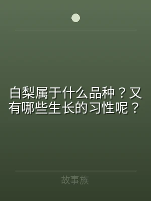 白梨属于什么品种？又有哪些生长的习性呢？