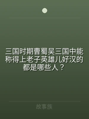 三国时期曹蜀吴三国中能称得上老子英雄儿好