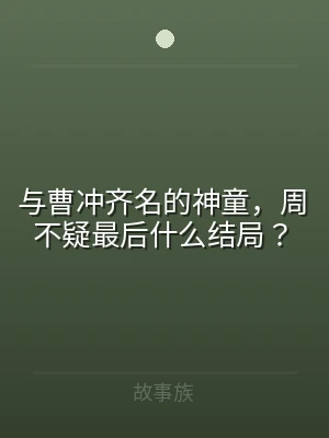 与曹冲齐名的神童，周不疑最后什么结局？