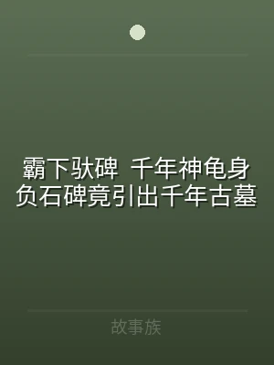 霸下驮碑  千年神龟身负石碑竟引出千年古
