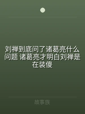 刘禅到底问了诸葛亮什么问题 诸葛亮才明白