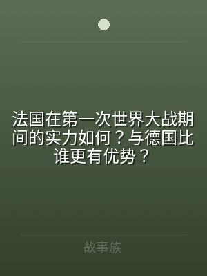 法国在第一次世界大战期间的实力如何？与德