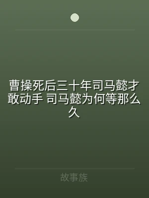 曹操死后三十年司马懿才敢动手 司马懿为何