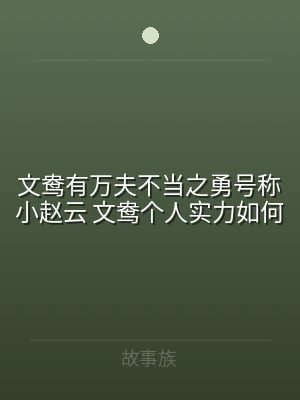 文鸯有万夫不当之勇号称小赵云 文鸯个人实
