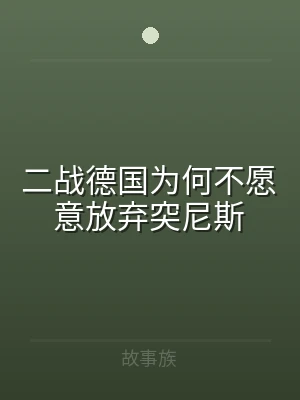 二战德国为何不愿意放弃突尼斯
