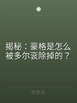 揭秘：豪格是怎么被多尔衮除掉的？