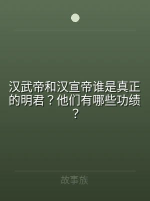 汉武帝和汉宣帝谁是真正的明君？他们有哪些