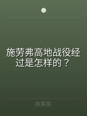 施劳弗高地战役经过是怎样的？