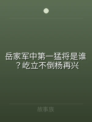 岳家军中第一猛将是谁？屹立不倒杨再兴