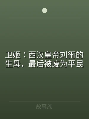 卫姬：西汉皇帝刘衎的生母，最后被废为平民
