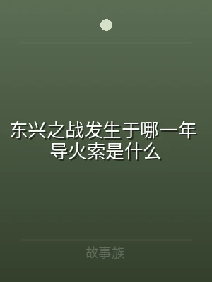 东兴之战发生于哪一年 导火索是什么