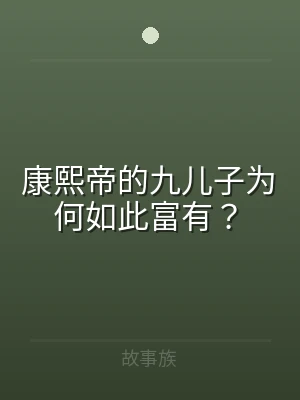 康熙帝的九儿子为何如此富有？