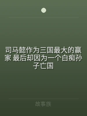 司马懿作为三国最大的赢家 最后却因为一个
