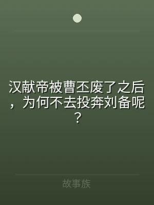 汉献帝被曹丕废了之后，为何不去投奔刘备呢