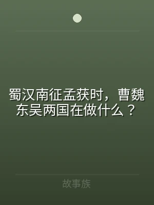 蜀汉南征孟获时，曹魏东吴两国在做什么？