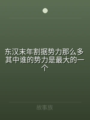 东汉末年割据势力那么多 其中谁的势力是最