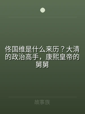 佟国维是什么来历？大清的政治高手，康熙皇