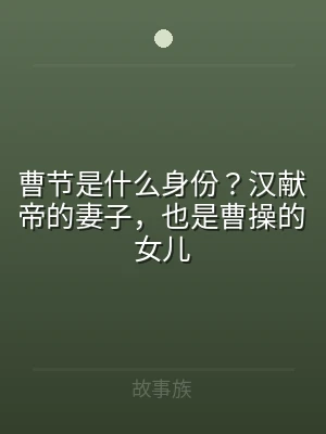 曹节是什么身份？汉献帝的妻子，也是曹操的