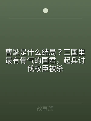 曹髦是什么结局？三国里最有骨气的国君，起