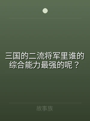 三国的二流将军里谁的综合能力最强的呢？