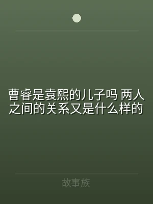 曹睿是袁熙的儿子吗 两人之间的关系又是什