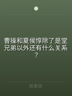 曹操和夏侯惇除了是堂兄弟以外还有什么关系