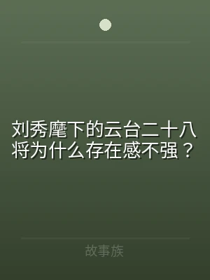 刘秀麾下的云台二十八将为什么存在感不强？