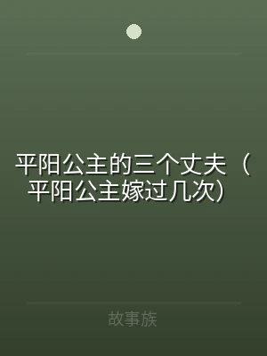 平阳公主的三个丈夫（平阳公主嫁过几次）