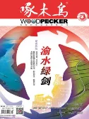 啄木鸟2023年7期