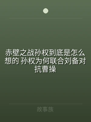 赤壁之战孙权到底是怎么想的 孙权为何联合