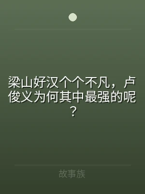 梁山好汉个个不凡，卢俊义为何其中最强的呢