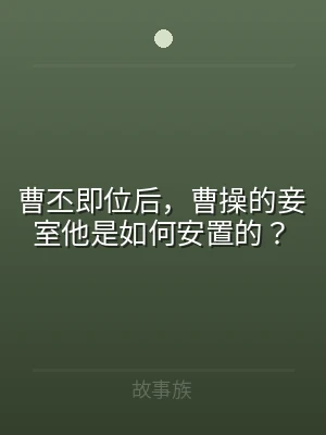 曹丕即位后，曹操的妾室他是如何安置的？