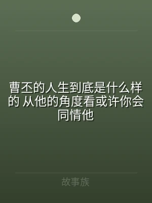 曹丕的人生到底是什么样的 从他的角度看或