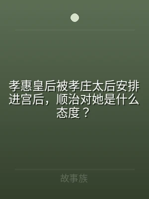 孝惠皇后被孝庄太后安排进宫后，顺治对她是