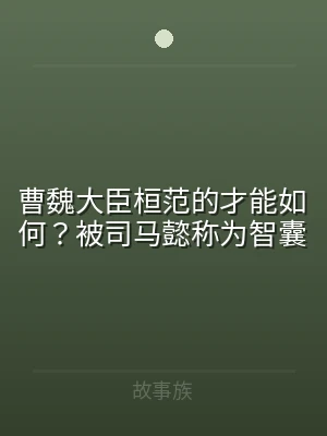 曹魏大臣桓范的才能如何？被司马懿称为智囊