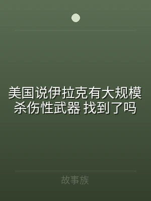 美国说伊拉克有大规模杀伤性武器 找到了吗