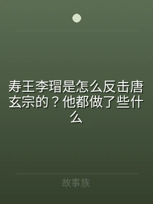 寿王李瑁是怎么反击唐玄宗的？他都做了些什