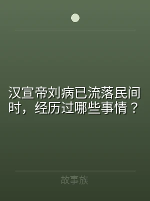 汉宣帝刘病已流落民间时，经历过哪些事情？