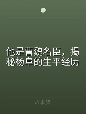 他是曹魏名臣，揭秘杨阜的生平经历
