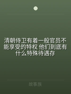 清朝侍卫有着一般官员不能享受的特权 他们