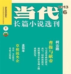 当代·长篇小说2013年6期